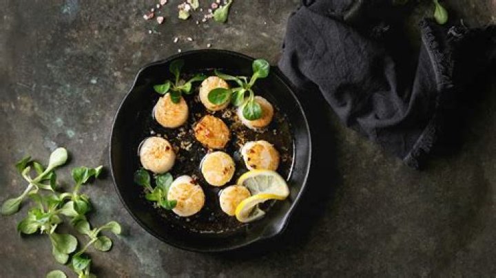 Are scallops safe?