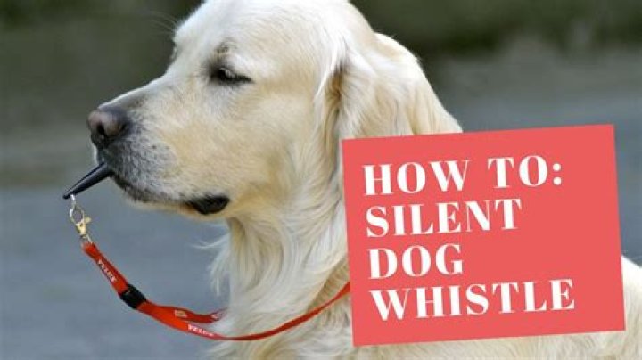 Are silent dog whistles effective?