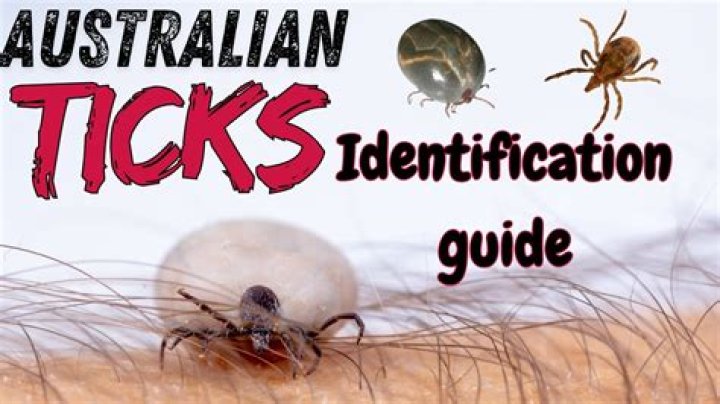 Are there ticks in Richmond Park?