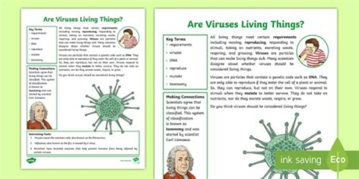 Are viruses living or nonliving explain quizlet?