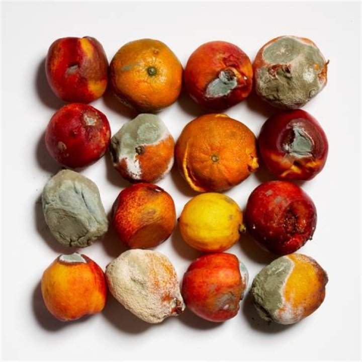 Can you eat moldy applesauce?