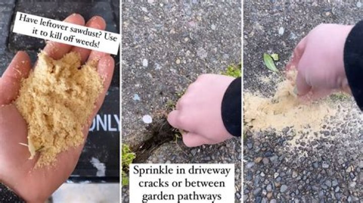 Can you flush sawdust?