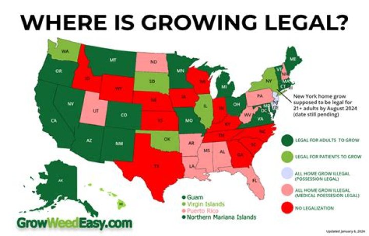 Can you legally grow hemp in Michigan?