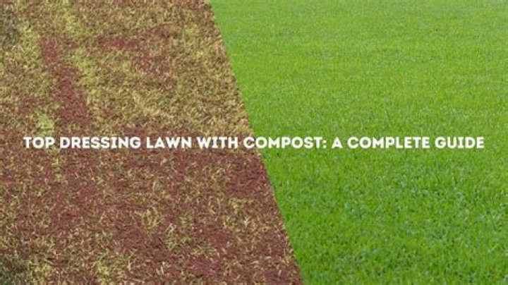 Can you top dress lawn with compost?