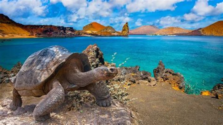 Do the Galapagos Islands belong to Ecuador?