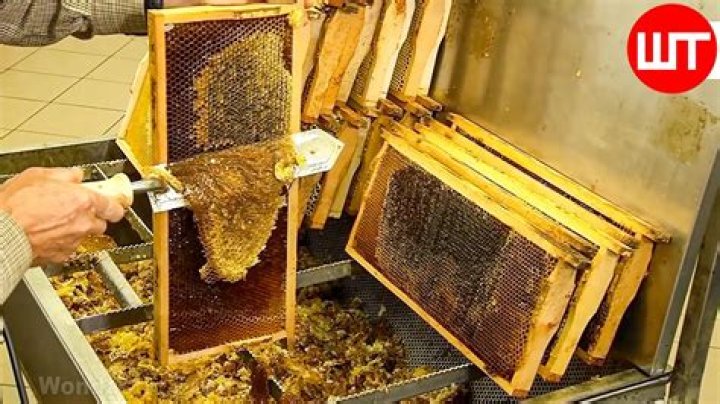 Does Honey work origin?