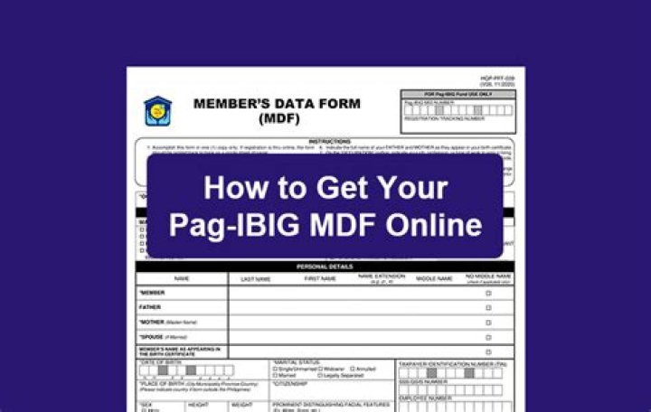 How can I check my pag ibig MDF online?