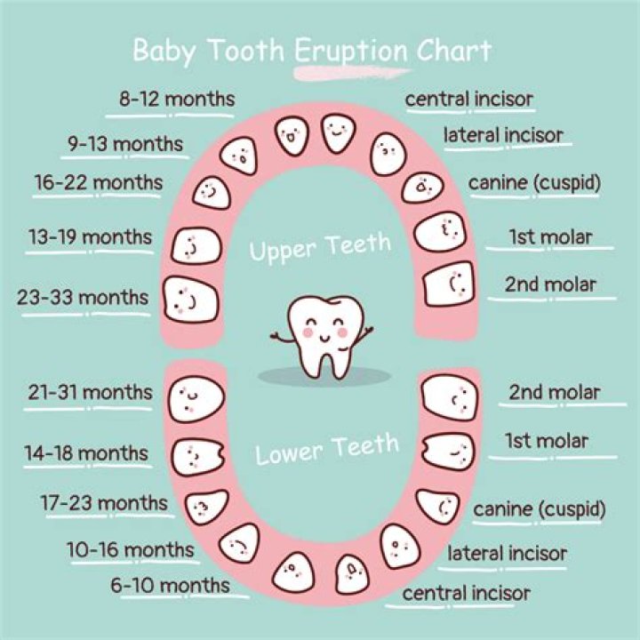 How can I preserve my baby's teeth at home?
