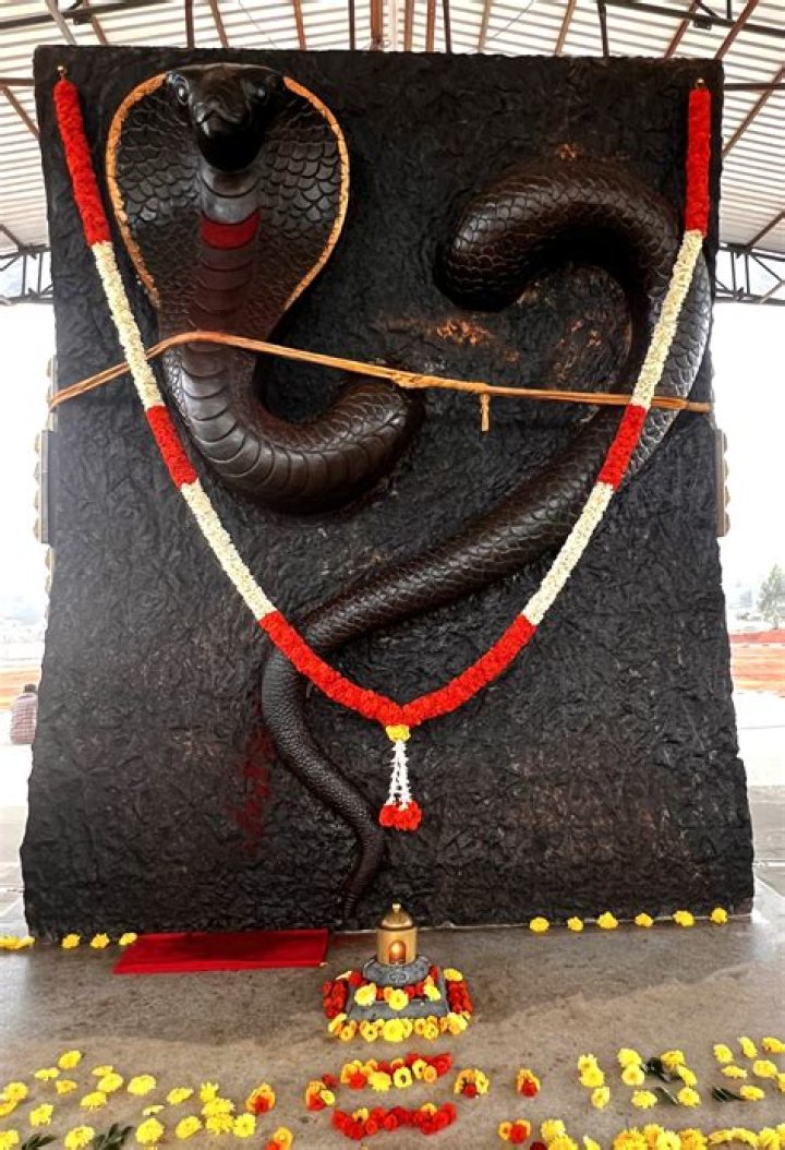 How can I reach Isha Foundation from Bangalore?