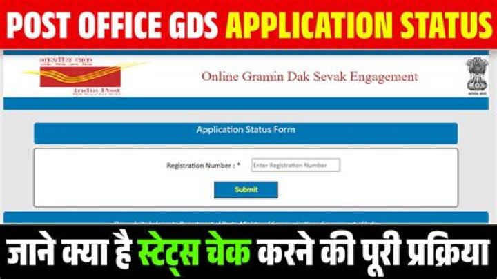 How do I check the status of my GDS application?