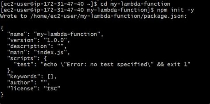 How do I install NPM modules in AWS Lambda?