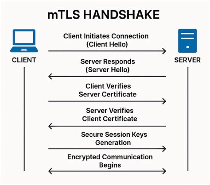 How do I set up mutual TLS?