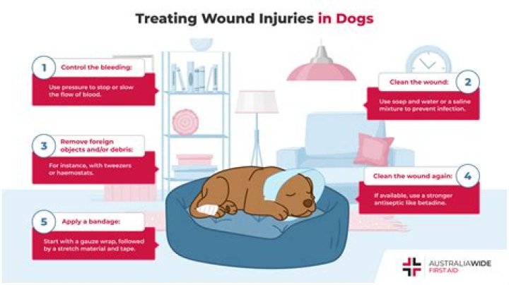How do you clean a tick wound on a dog?