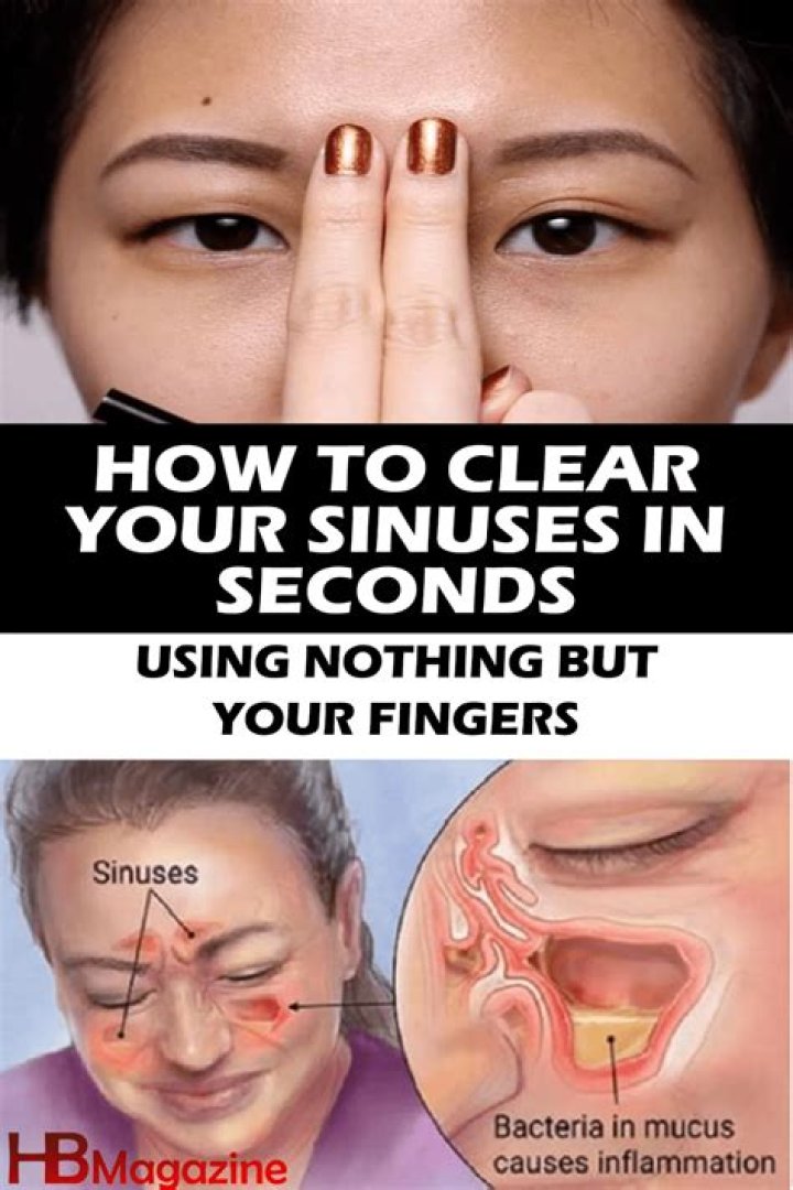 How do you clear your nose for a pug?