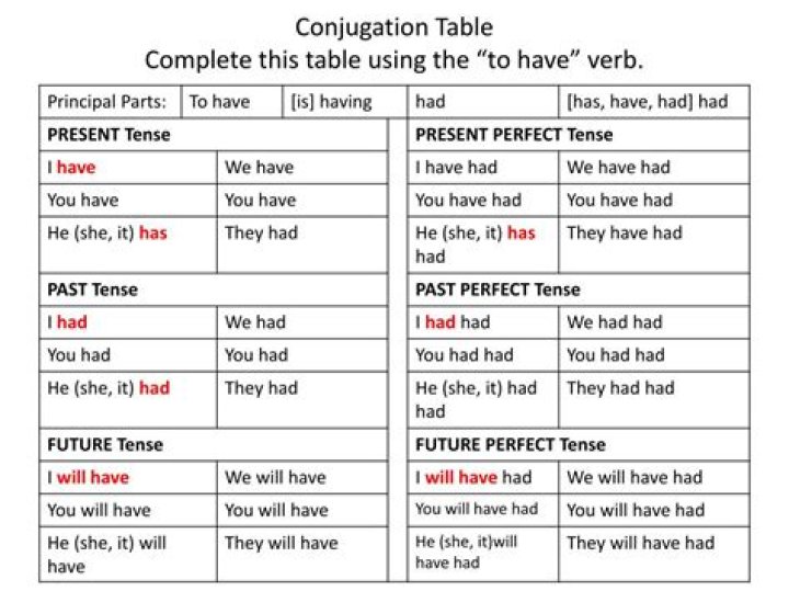How do you conjugate the verb to have?
