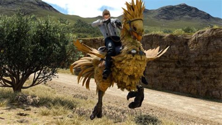 How do you get different colored chocobos in FFXV?