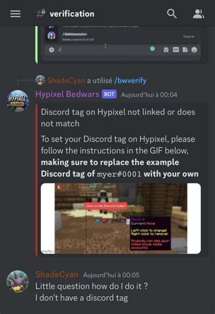 How do you get to discord on Hypixel?