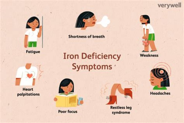 How do you know if you have regenerative anemia?