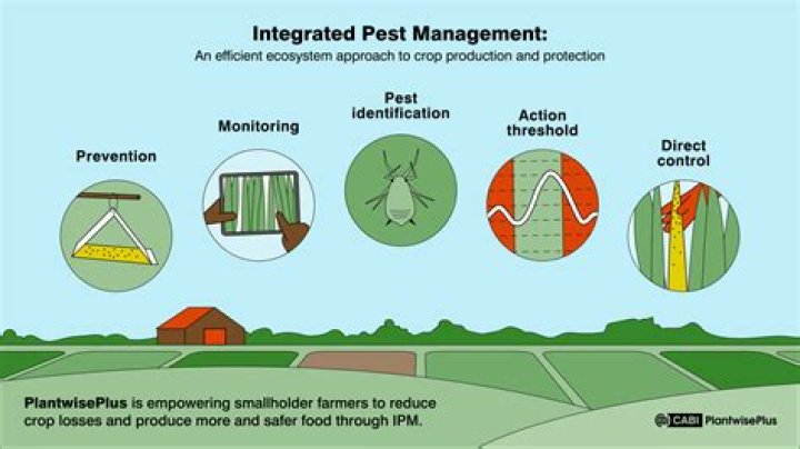 How do you manage pest control?