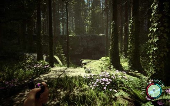 How do you survive on ark?