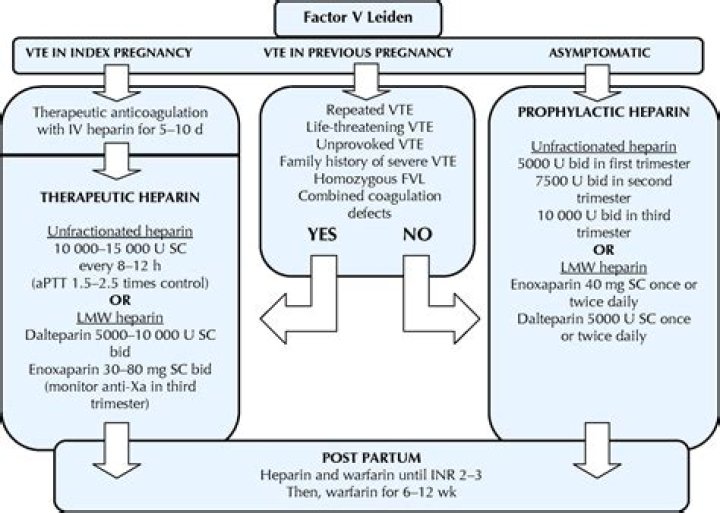 How does factor V Leiden affect pregnancy?
