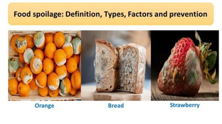 How does salt and sugar prevent food spoilage?