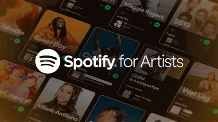 How long does Spotify for artists take to update?