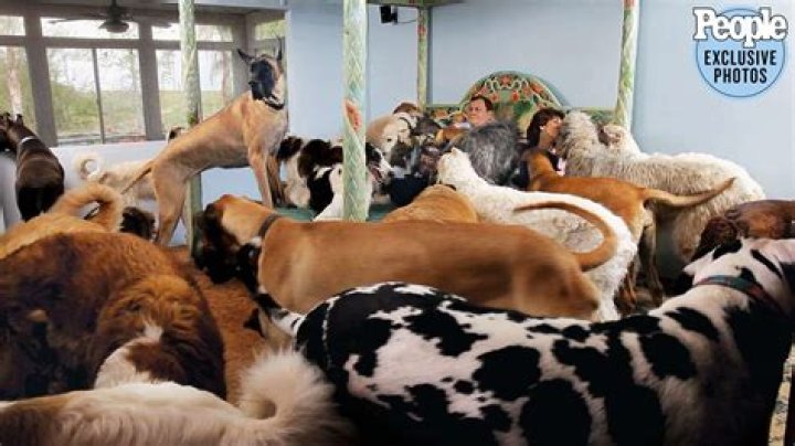 How many dogs does Burt Ward have?