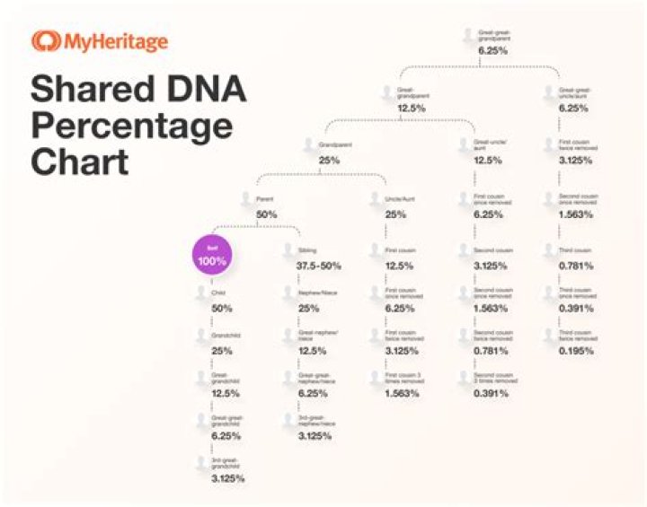 How much DNA do we share with corn?