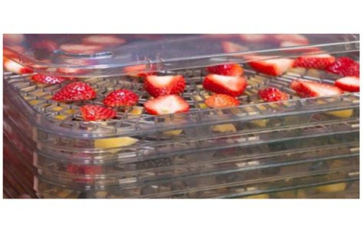 How much is a Ronco Food Dehydrator?