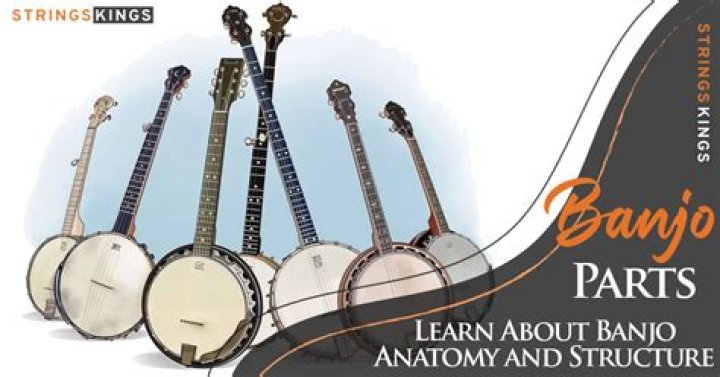 Is a mandolin a banjo?