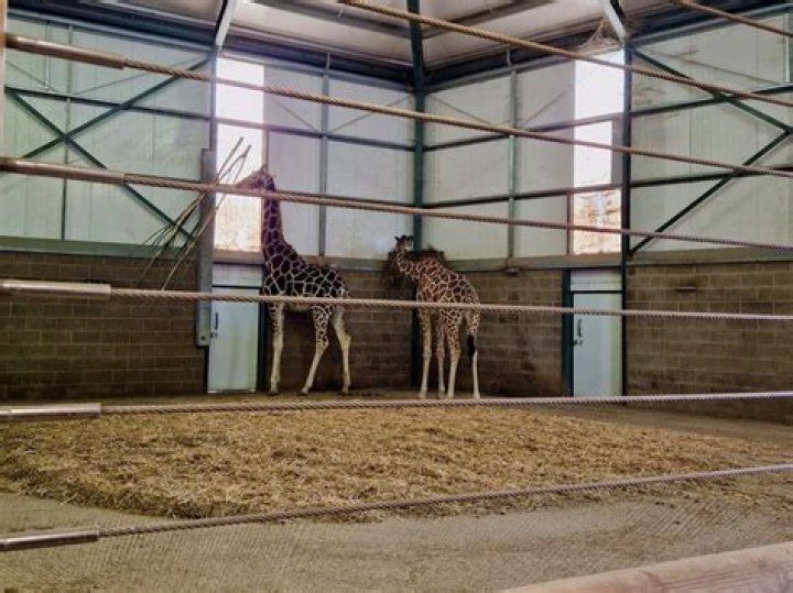 Is Banham Zoo closing down?