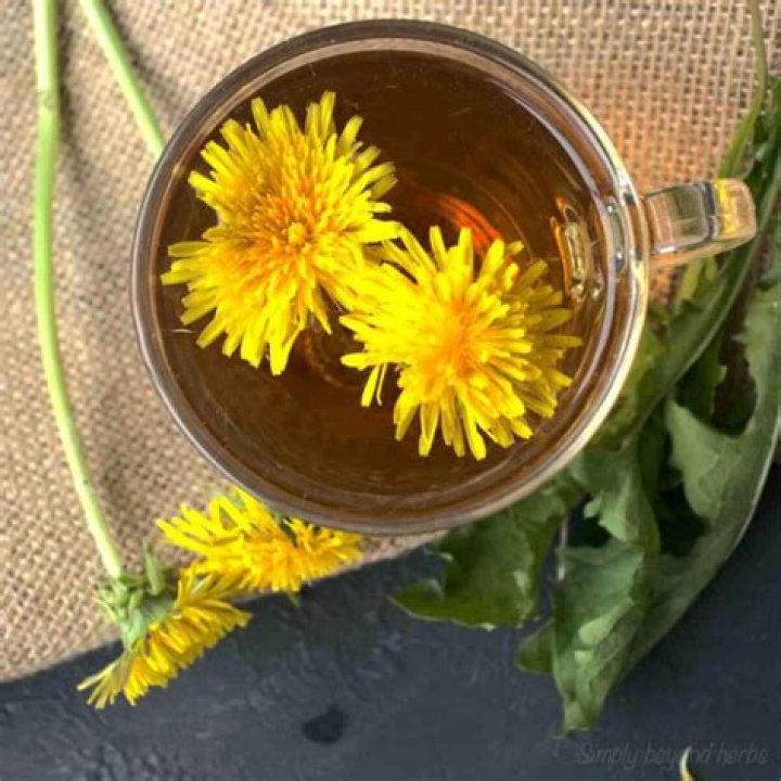Is dandelion tea a laxative?