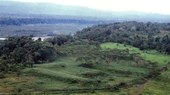 Is there any civilization in Amazon?