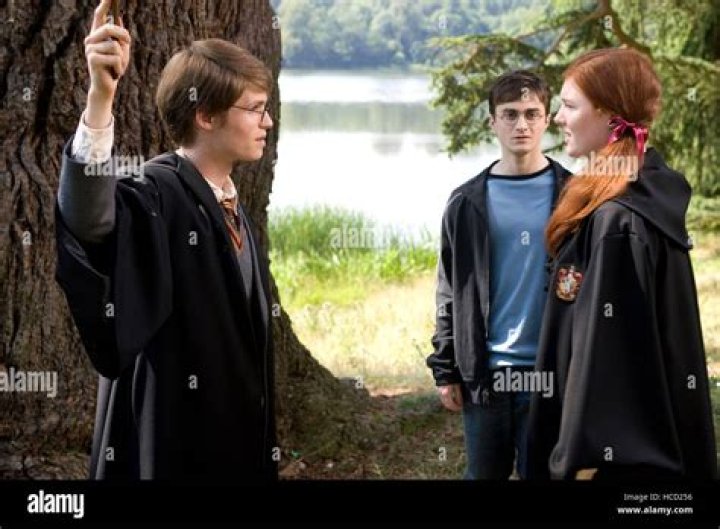 What's the Order of the Phoenix about?