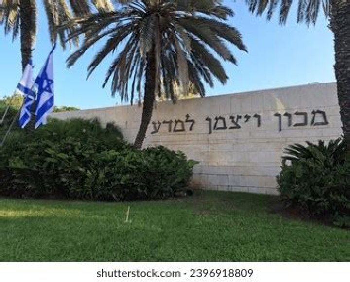 What are the five musical institutions in Israel?