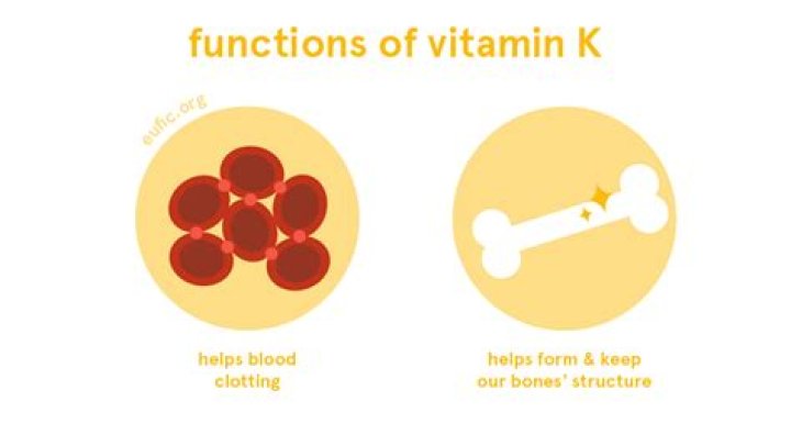 What are the main functions of vitamin K?