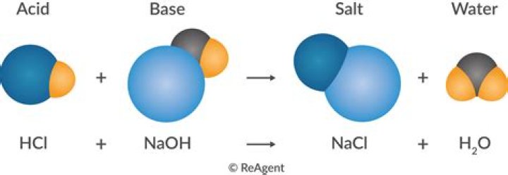 What are the products of the neutralization of sodium bicarbonate in hydrochloric acid?