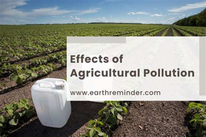 What are the types of agricultural pollution?