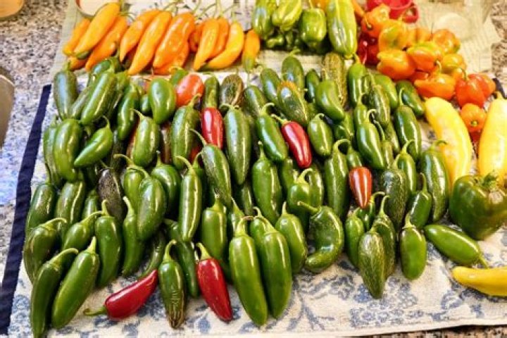 What can I make with a bunch of jalapenos?
