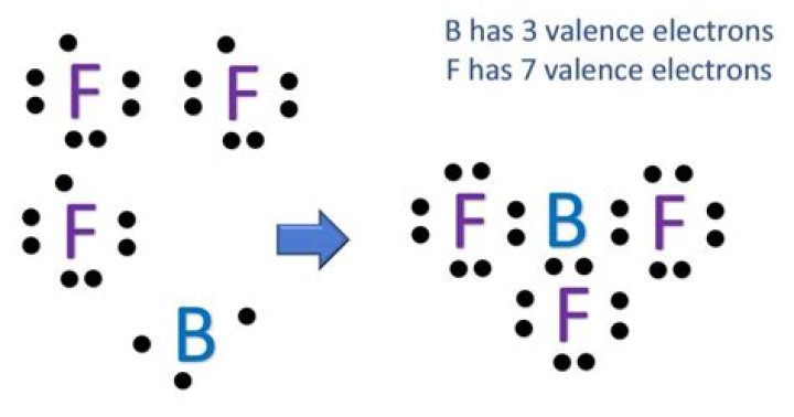 What does BF lab mean?