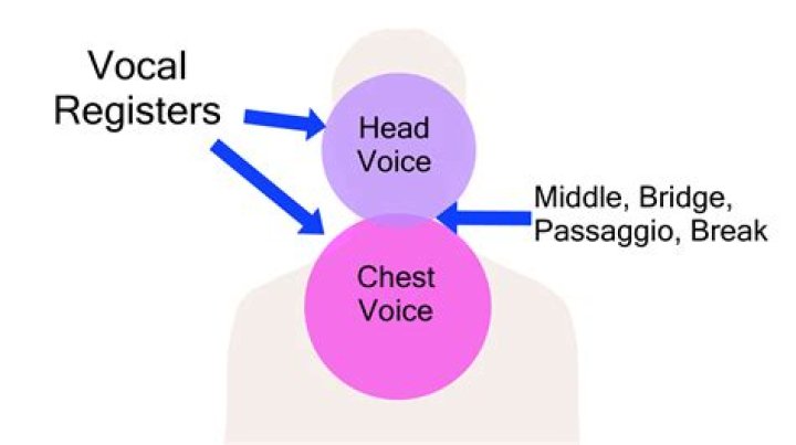 What does clear voice mean?
