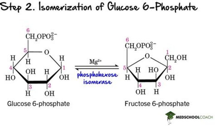 What does glucose isomerase do?