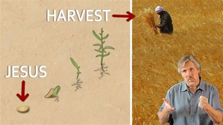 What does Jesus use the grain of wheat to explain?