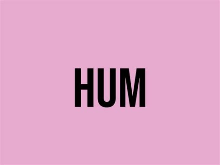 What does the term hum mean?