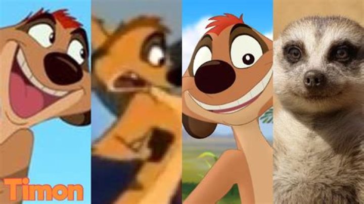 What does Timon say in The Lion King?