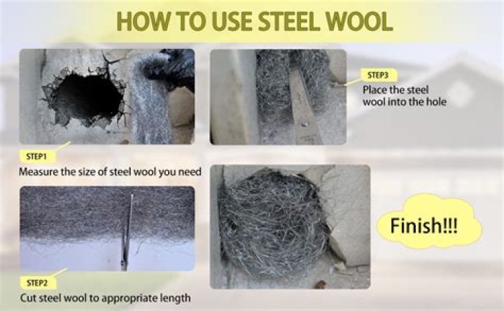 What grade steel wool is best for mice?