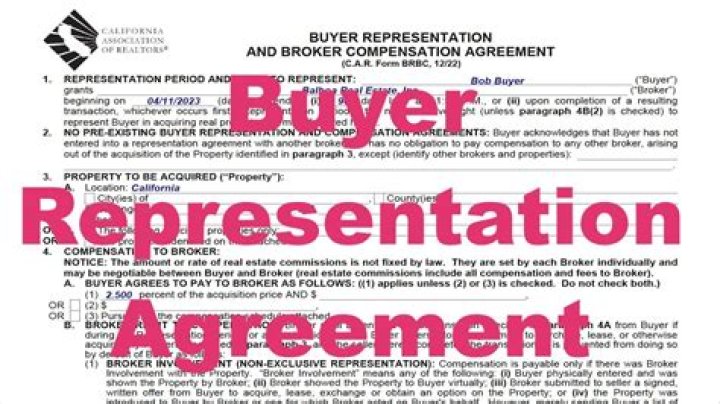 What is a buyer's guide for a car?