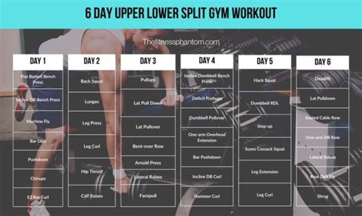 What is a good 6 day workout routine for the gym?