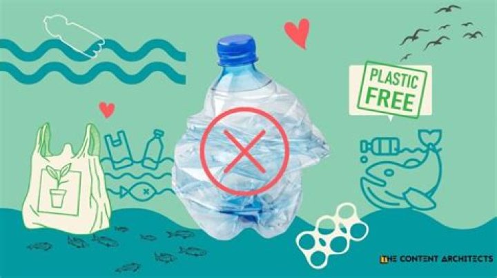 What is a plastic free school?